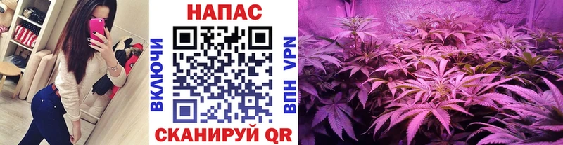 Купить наркоту Казань МАРИХУАНА Меф мяу мяу Псилоцибиновые грибы blacksprut зеркало ГАШИШ Кокаин АМФЕТАМИН Alpha-PVP