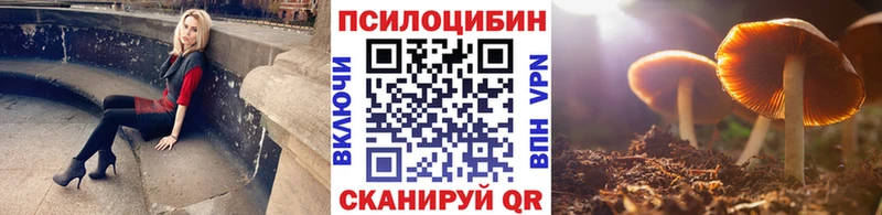 Галлюциногенные грибы Psilocybe  где купить наркоту  OMG онион  Казань 